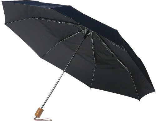 paraplu zwarte
