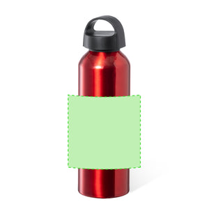 Fles Carthy zilver 1 kleur