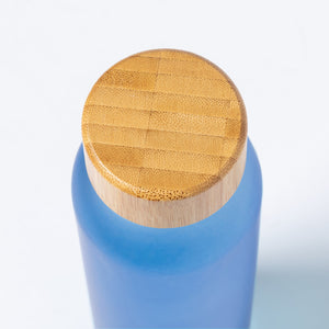 Fles koelbox zwart 1 kleur