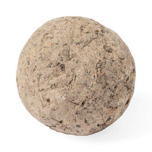 Zaad bol Mussox bruin onbedrukt 13439