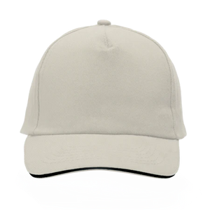 Cap 5 panel 2014