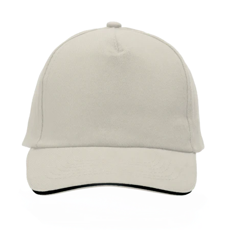 Cap 5 panel 2014
