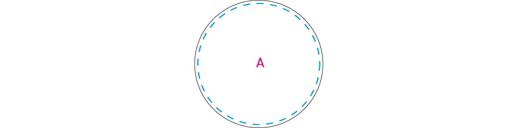 Magneet Ø 40 mm donkergroen 4 kleuren 7468