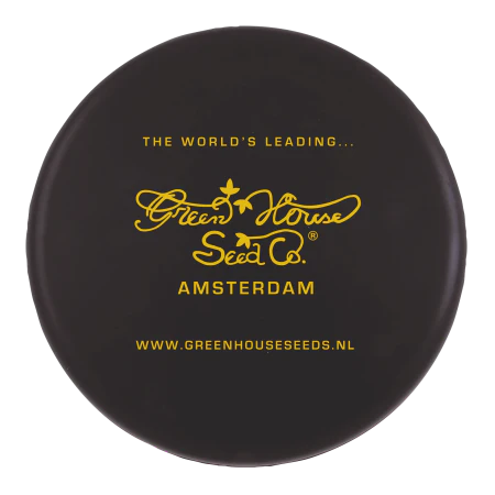 Frisbee 21 cm zonder ringen donkergroen 2 kleuren 4129