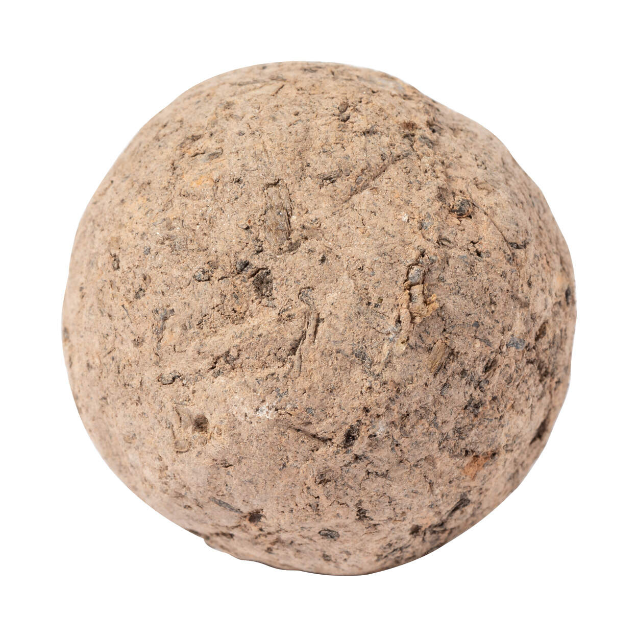 bloemenzaad bal Mussox  sample