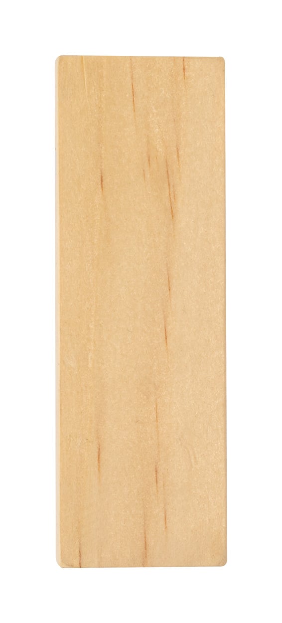 fluitje Snaider 4017