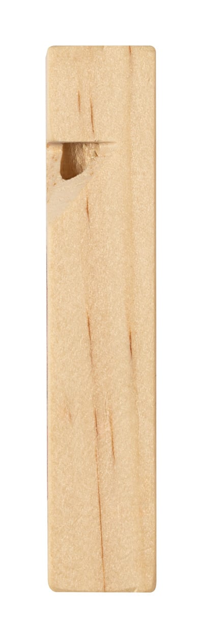 fluitje Snaider 4018