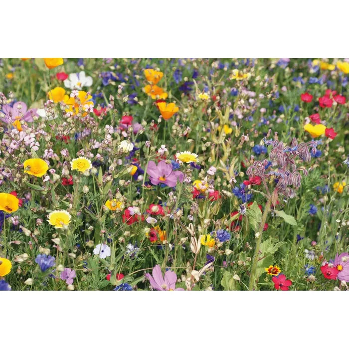 Mix bloemzaden schijf FLOMIX  met logo