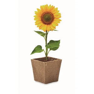 Zonnebloem kweekset SUNFLOWER KIT  met opdruk