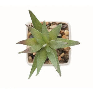 Mini kunstplant ARTILOE  met opdruk