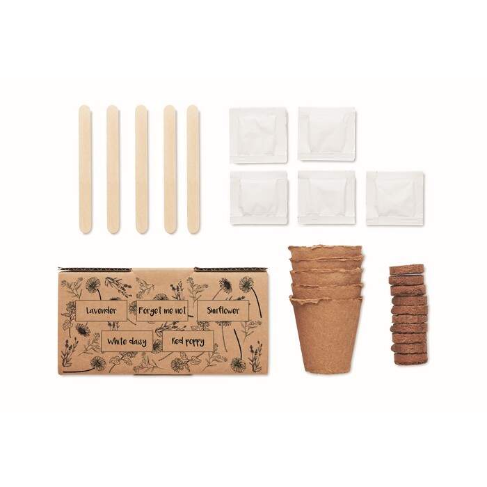 Bloemen kweekset FLOWERS beige onbedrukt 1605