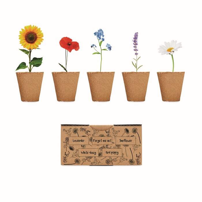 Bloemen kweekset FLOWERS sample