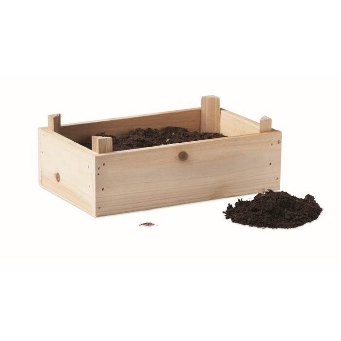 Aardbeienpakket in houten krat STRAWBERRY sample