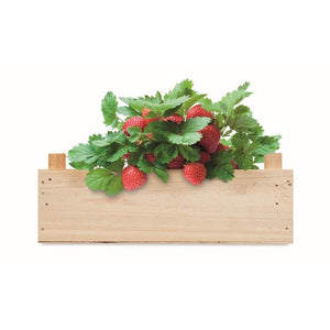 Aardbeienpakket in houten krat STRAWBERRY hout 2 kleuren zd 491