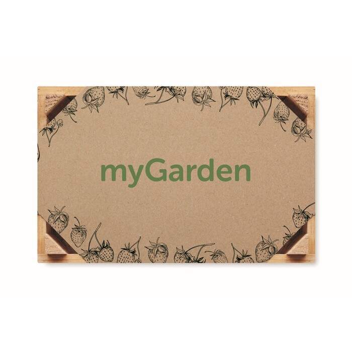 Aardbeienpakket in houten krat STRAWBERRY hout 4 kleuren zd 493