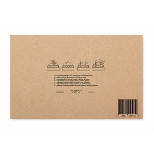 Aardbeienpakket in houten krat STRAWBERRY 489