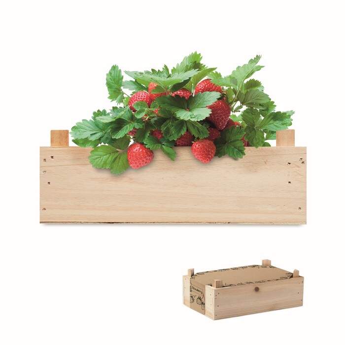 Aardbeienpakket in houten krat STRAWBERRY sample