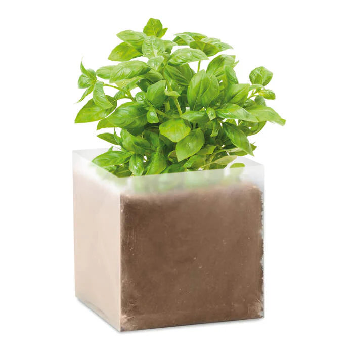 https://plugin.myshop.com/images/shop5865700.pictures.MO9545_13.jpg